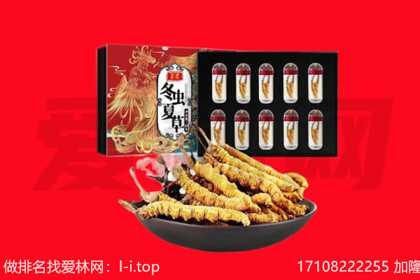 兴安回收虫草.jpg